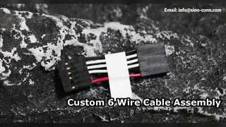 Προσαρμοσμένη διάταξη καλωδίου 6 καλωδίων HX25402 6Y 50mm Λύση