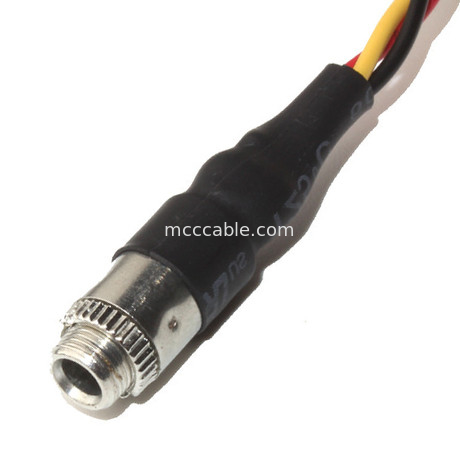 Το Molex 22 55 λουρί 2.54mm πίσσα 3.5mm καλωδίων 2101 συνήθειας επιτροπή τοποθετεί τον ακουστικό Jack