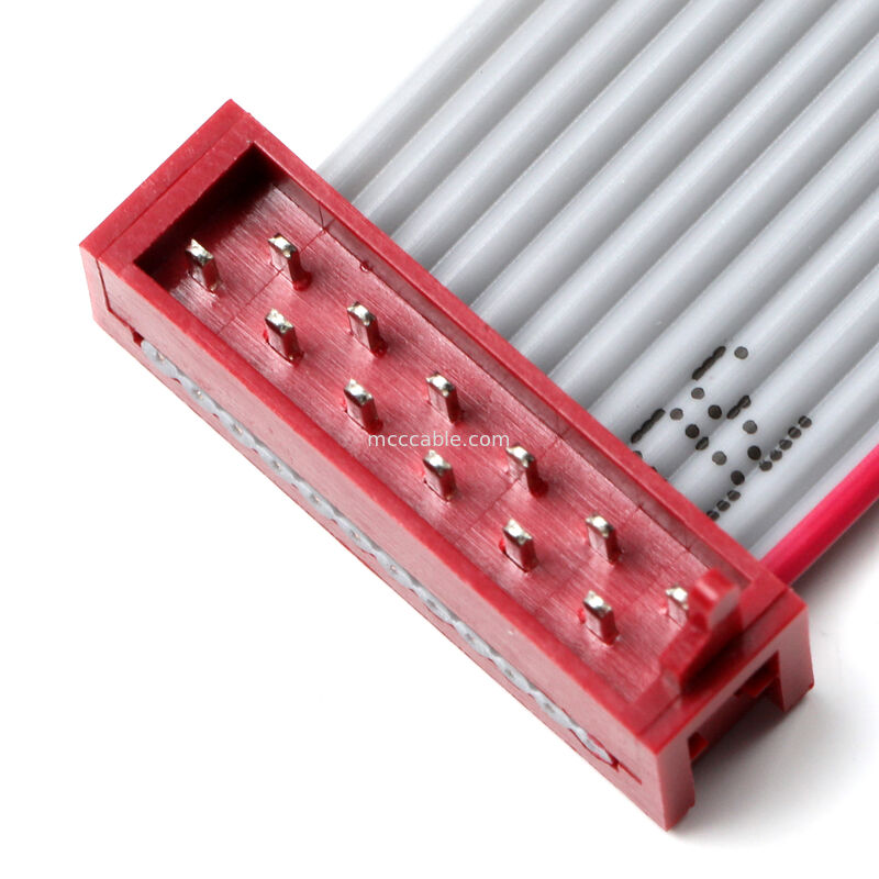 IDC Flat Ribbon Cable Assembly – 2.54 mm Dual-Row Connector, Custom OEM