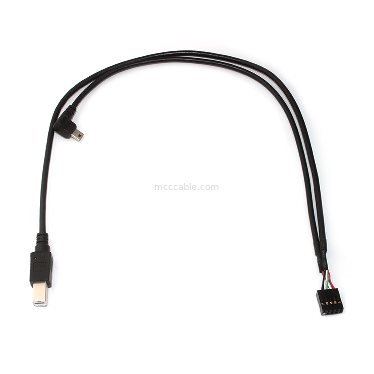 10 καρφίτσα 30AWG 2.54mm συνέλευση 150mm μήκος Molex 22-55-2101 καλωδίων Molex πισσών